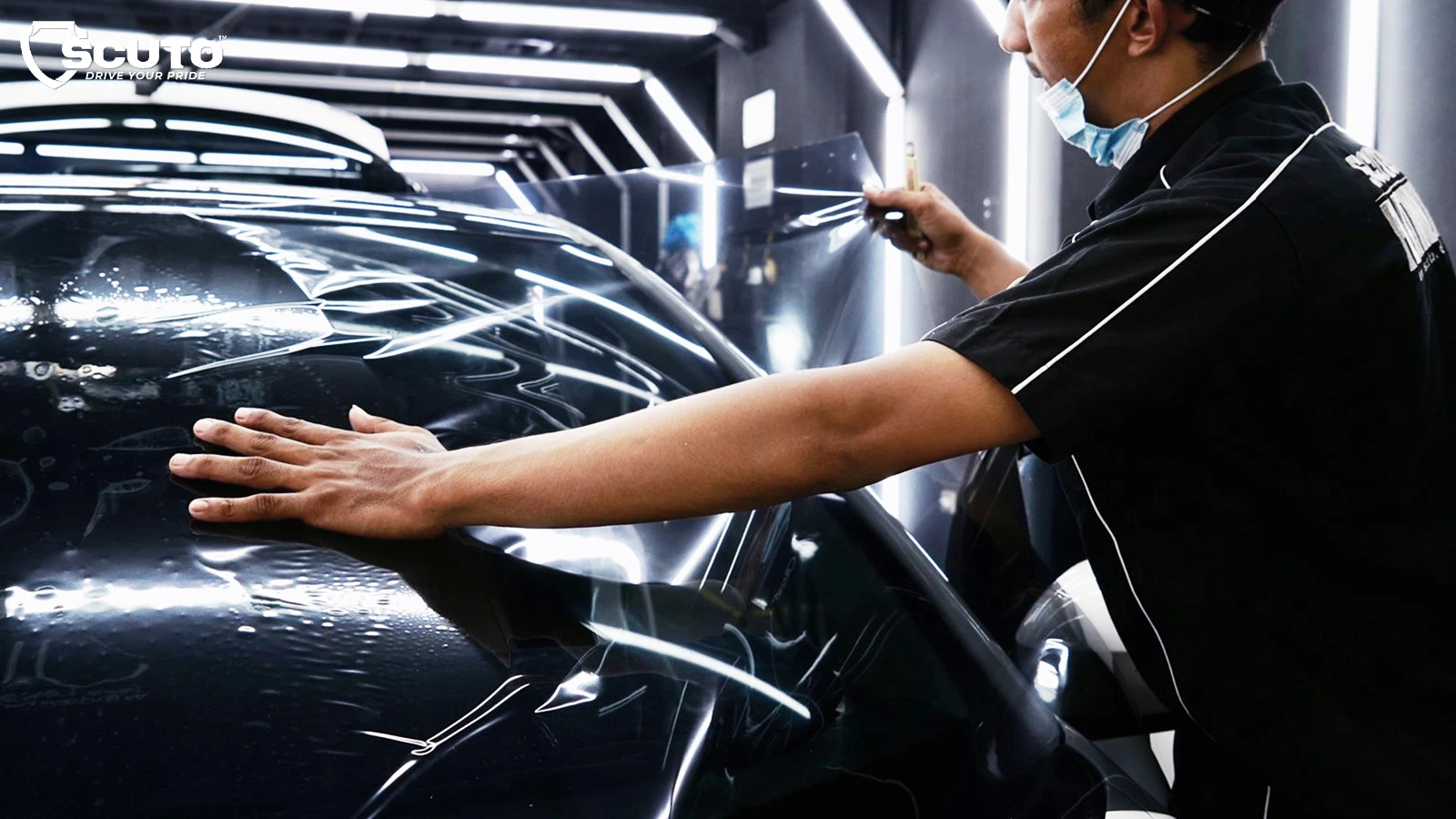 Scuto Window Film